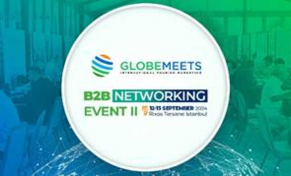 GlobeMeets B2B Networking Event 2024