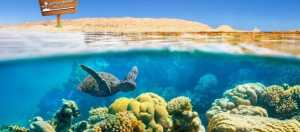 Kızıldeniz’in Tropikal Cenneti: Giftun Adaları