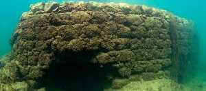 İMPARATORLUKLARIN ŞEKİLLENDİRDİĞİ COĞRAFYA 