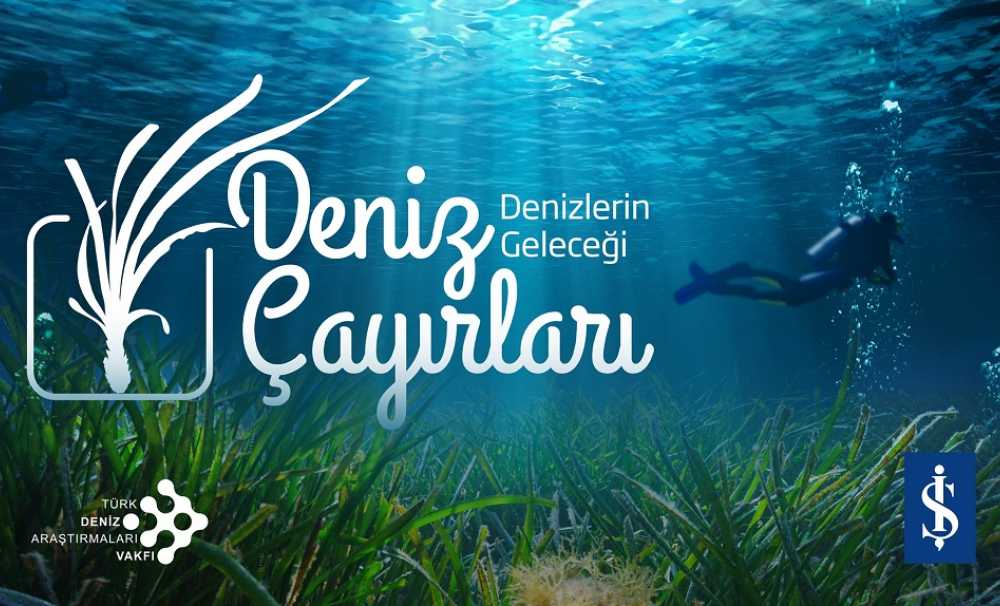 BM,  1 Mart’ı Dünya Deniz Çayırları Günü olarak ilan etti. 