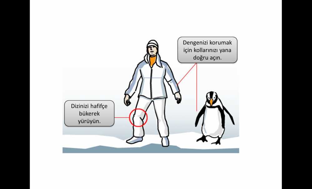 Penguen gibi yürü karda düşme!