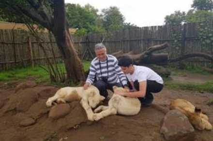 Cem Polatoğlu: Turist olarak Güney Afrika izlenimlerim; cem polatoglu turist olarak guney afrika izlenimlerim 5e41bbc533f4a - Cem Polatoğlu: Turist olarak Güney Afrika izlenimlerim;