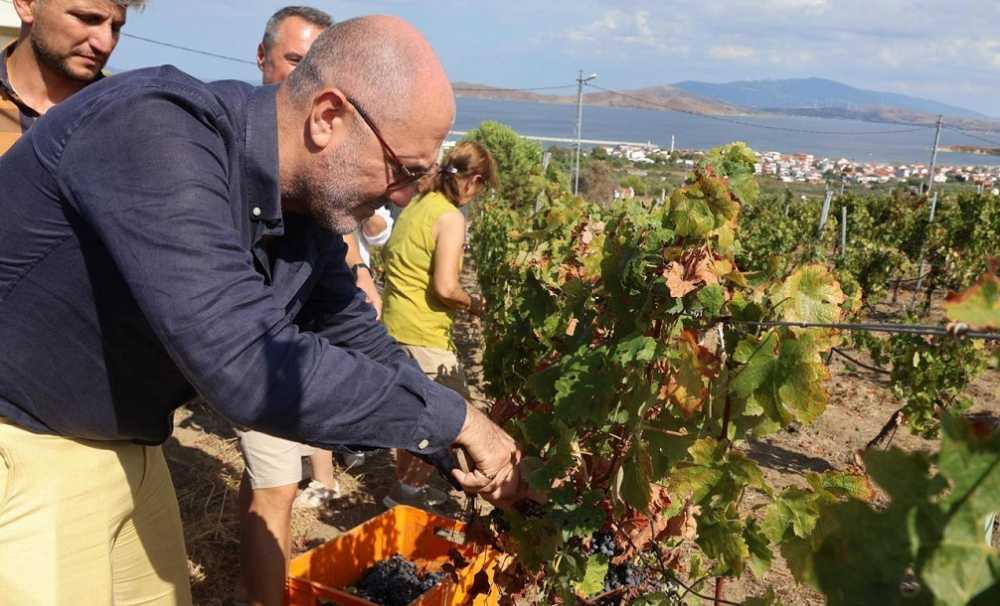 6–7 Eylül’de Bir Başkadır Avşa Etkinliği’nin Programı Açıklandı