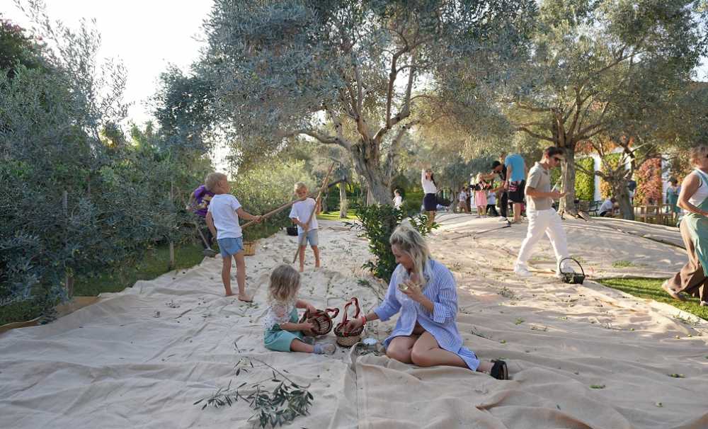 Ela Excellence Resort Belek ile Olive Fest 2026 hikayesi bu yıl İstanbul’a uzanıyor.