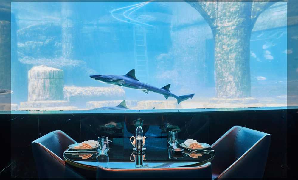 Nemo, Deniz Altı Atmosferi İstanbul'da Gastronomiyle Buluşuyor