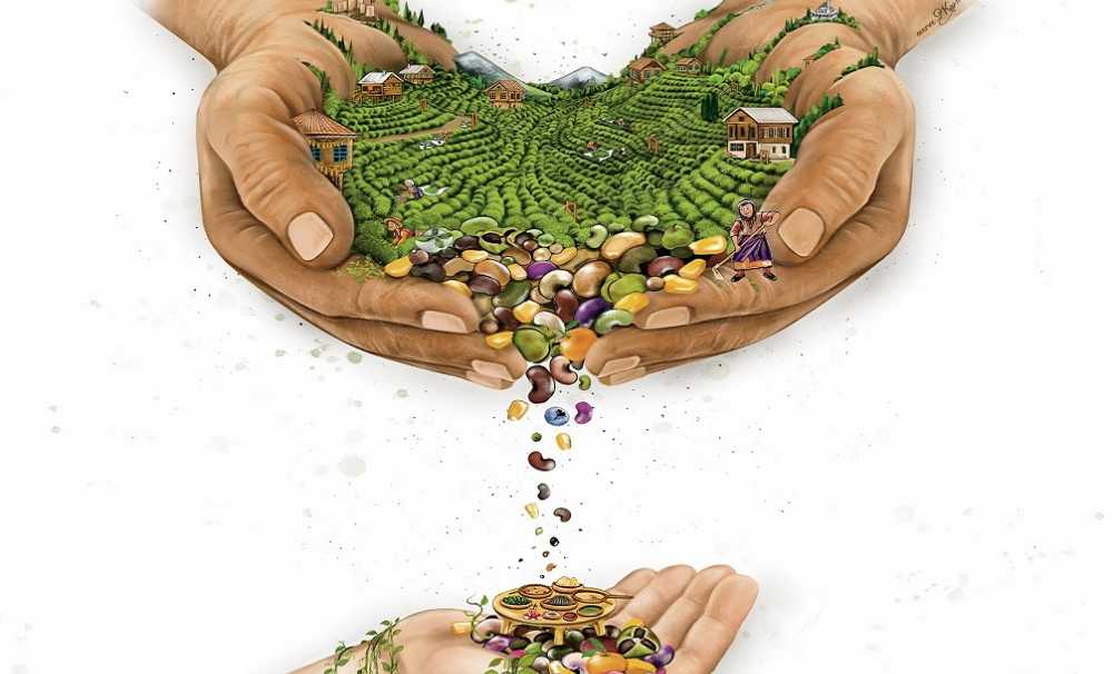Rize Hafızasını Kayıt Altına Alıyor Yerelden Zirveye Gastronomi Yolculuğunda Geleneğini Geleceğe Taşıyor.