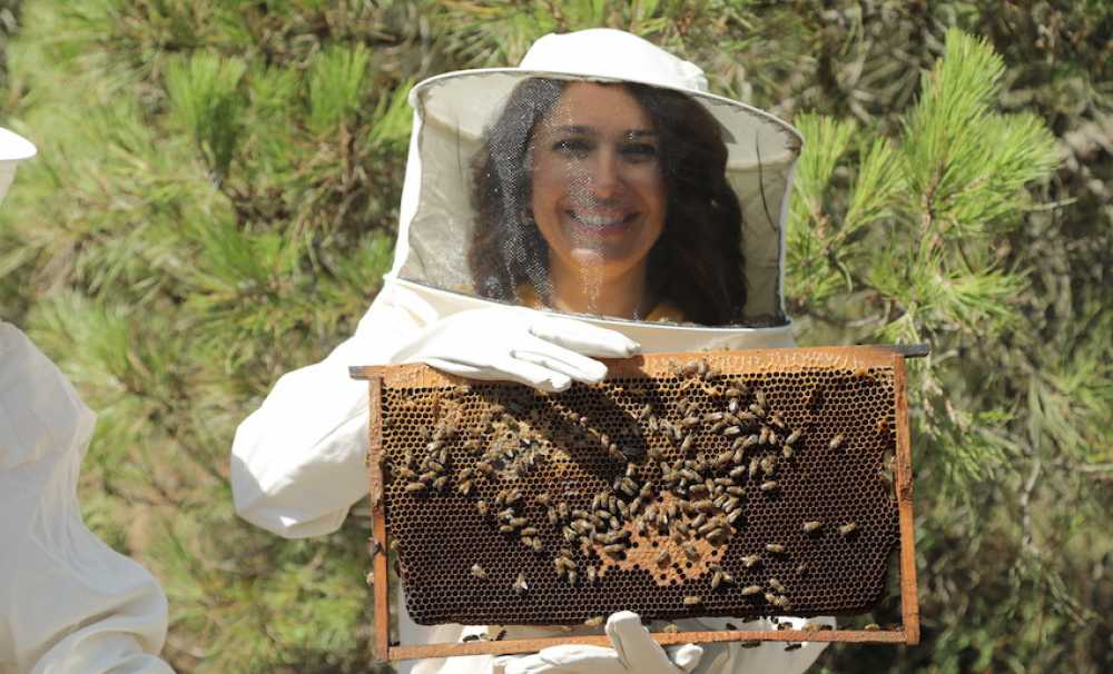  Bal ve arı ürünlerinde doğru bilinen yanlışlara savaş açıldı....